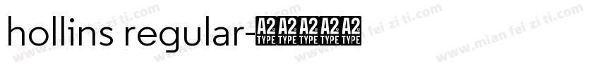 hollins regular字体转换